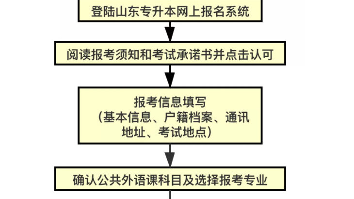 山东专升本补录，解读政策、流程与机会