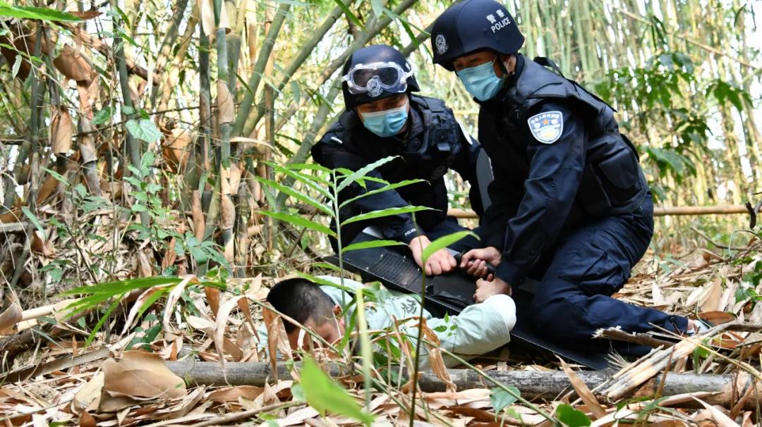 瑞丽人才市场招聘信息概览